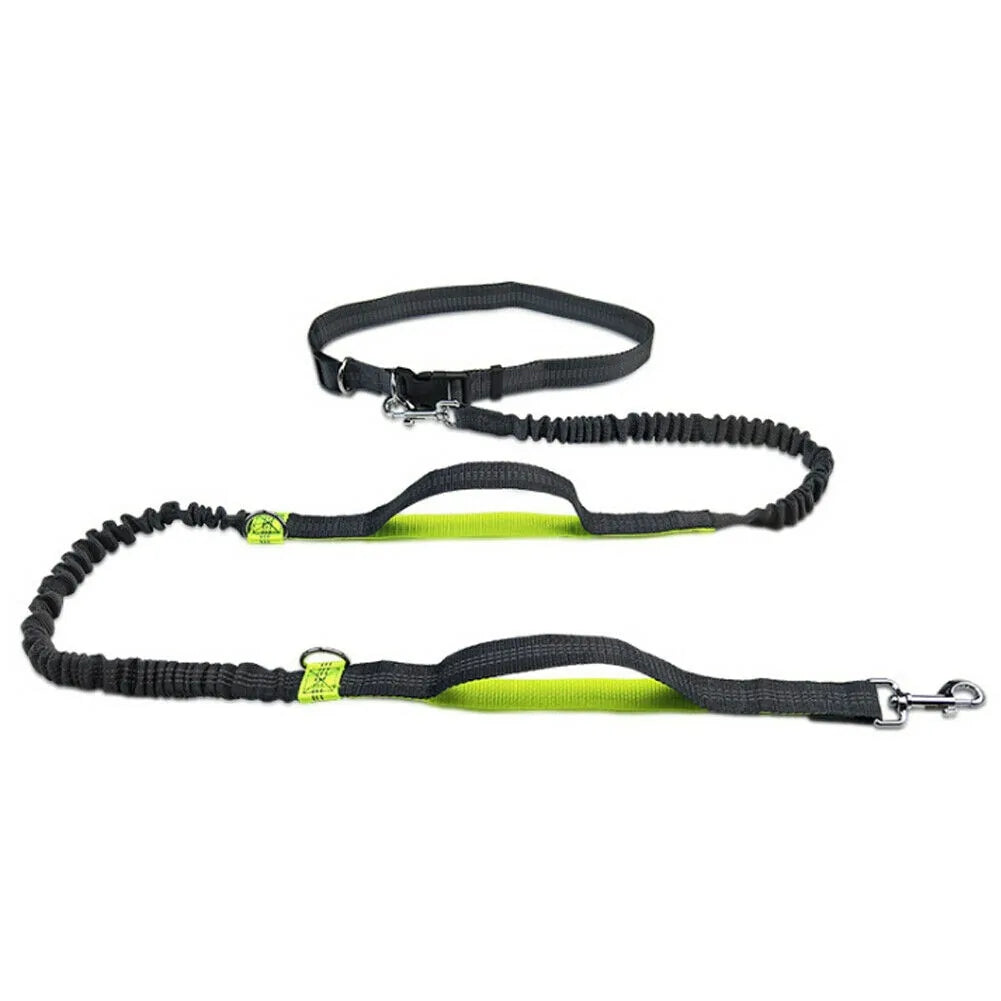 Reflective Rope Pet Leash