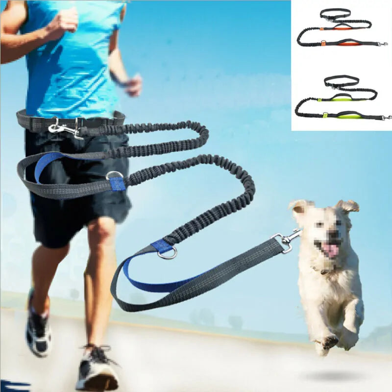 Reflective Rope Pet Leash