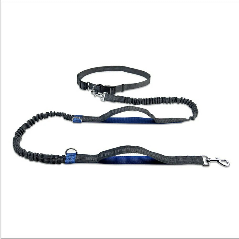 Reflective Rope Pet Leash