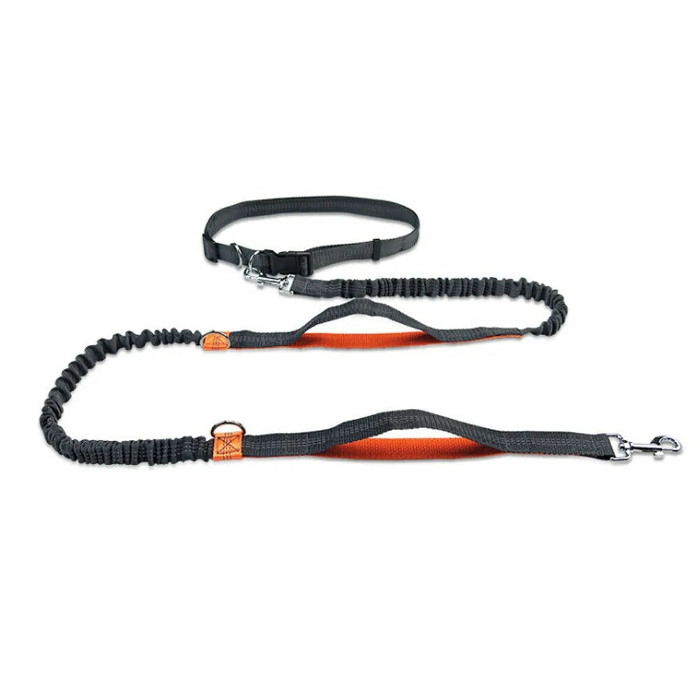 Reflective Rope Pet Leash