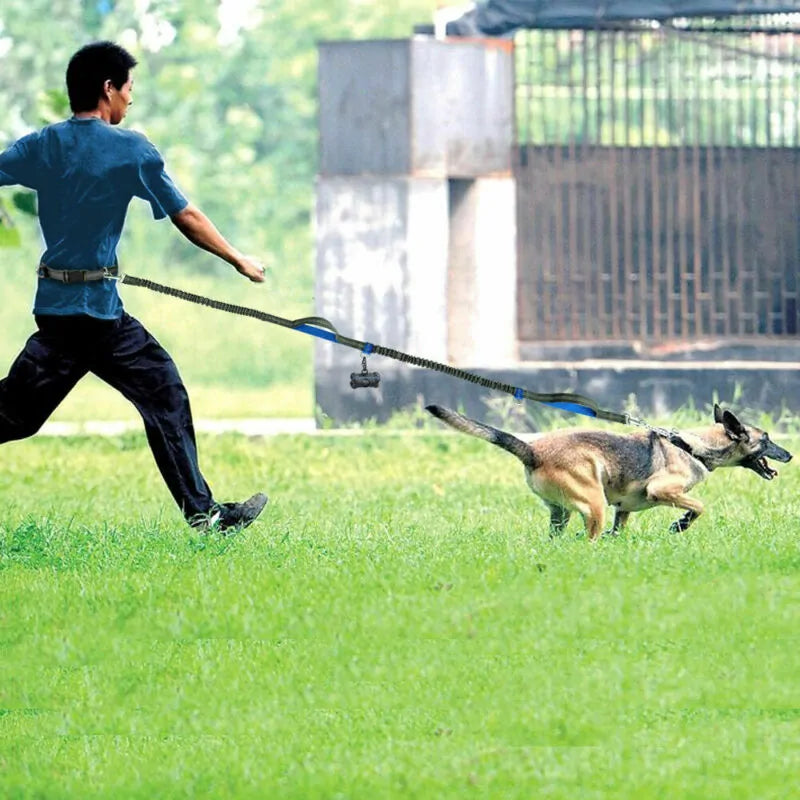 Reflective Rope Pet Leash