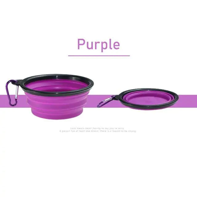 Pet Food Bowl