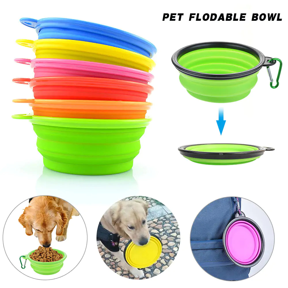 Pet Food Bowl