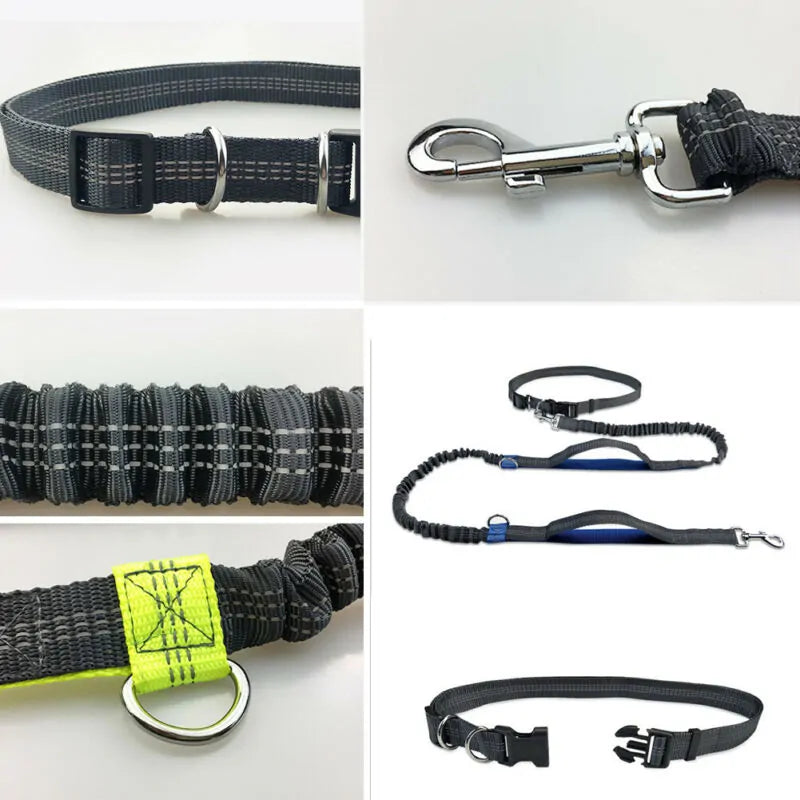 Reflective Rope Pet Leash